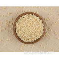 Sorghum And Rice